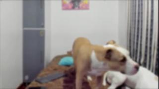 Stephany🌹/ Independent model Snapshot