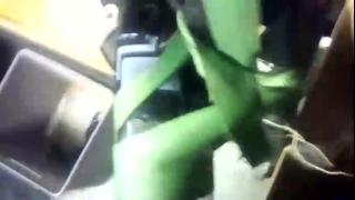 hardforu8675 Snapshot