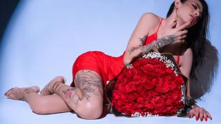 AndraHolbrook Snapshot