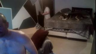 KittenKatch Snapshot