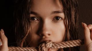 LynetteFairbroth Snapshot