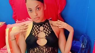 Indianmaxine Snapshot