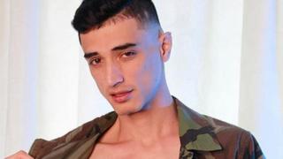 pipecolinss Snapshot