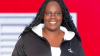 Palmerstyles Snapshot