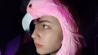 AlexJackson Snapshot