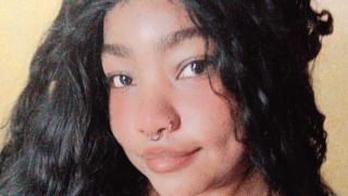 DannaMirror Snapshot